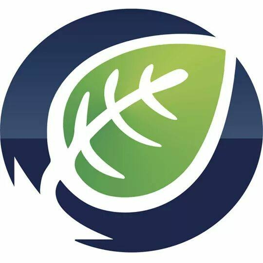 Logo Ecoalize